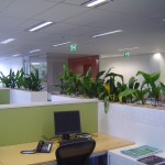 Commercial fitout