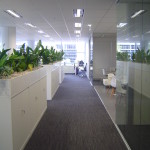 Commercial fitout